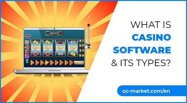 What Are the Different Types of Online Casino Software?