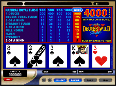 Is there a progressive jackpot in some video poker games?